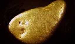 狗头金在线观看,在线观看揭秘黄金宝藏之谜